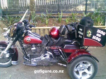 10-Hog2