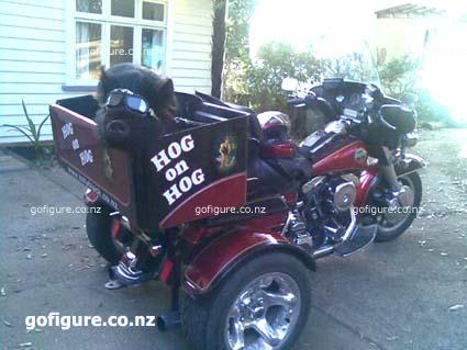 10-Hog3