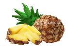 00-pineapple
