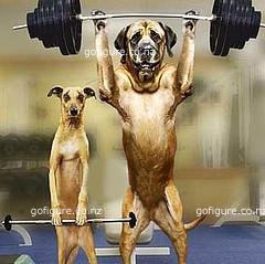 00-dogworkout