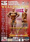 09-NzfbbWelly-Poster