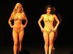 09-Elite-Bikinicompare