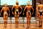 009-NzfNatsN-Wbodyfit1pcebk