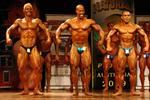 09-NatO-Pro1