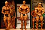 09-NatO-Promusc