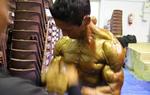 09-NzfNats-SnapsAronpump2
