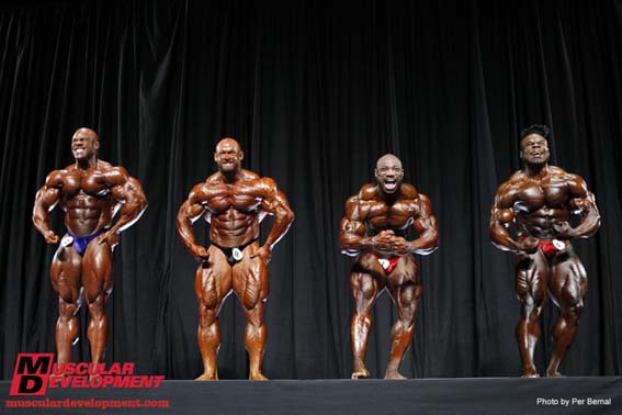 10-Arnold-linemusc