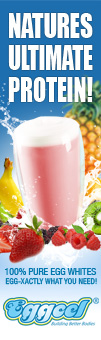 10-Eggcelbanner