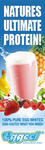 10-Eggcelbanner