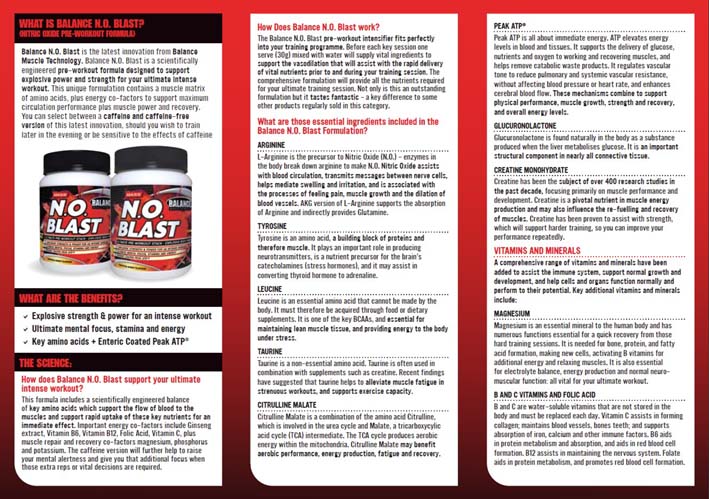 10-Balanceblastleaflet2