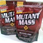 10-MutantMassmini