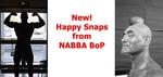 10-Slide-NABBABoPsnaps