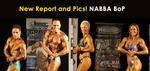 10-Slide-NABBABoPreport