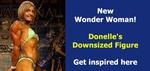 10-Slide-Donelle
