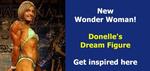 10-Slide-Donelle