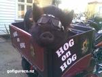 10-Hog1