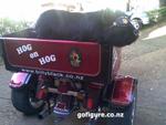 10-Hog6