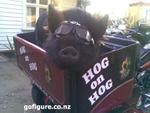 10-Hog0