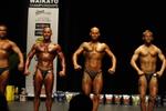 0010-01NabbaWai-0mnovphyss