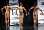10-nzfWelly-Wnov int figure tallbk