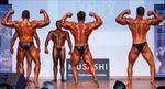 IMG_7687 - nabba class 1 + jnrs