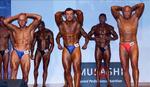 IMG_7927 - nabba o40 & o60
