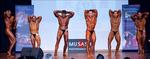 IMG_8571 - wff men oall
