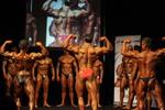 0010-NZIF-Nats20197