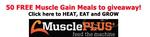 10-Slide-MusclePlusfree
