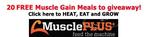 10-Slide-MusclePlusfree