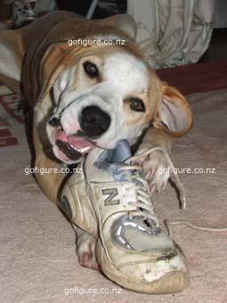 07-LisaTrixieShoe3