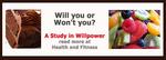 011-Slide-Willpower