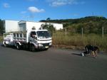 11-Lucie-Truck