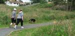 00-slideshow2-3