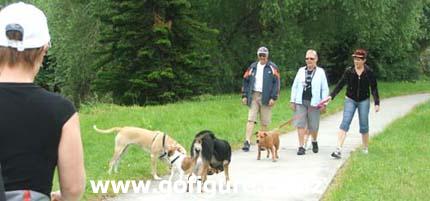 07-Walk18Nov-9