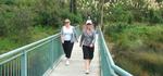 07-Walk18Nov-1
