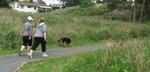07-Walk18Nov-2