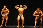 11-May-NZIFBBakl20136.JPG