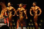 11-June-INBA0479.JPG