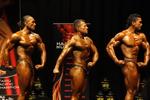 11-June-INBA0481.JPG