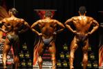 11-June-INBA0495.JPG