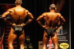 11-June-INBA0496.JPG