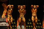 11-June-INBA0502.JPG