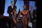 11-Olympia17Septnite0109.JPG