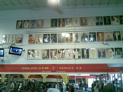 11-SantaMonica-Golds.jpg