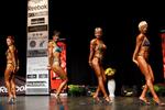 IMG_8751 - snr fig o50.jpg