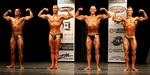 08-NzfWellyM-stgeopendb