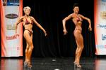 IMG_0165 - nov fig short & tall.jpg