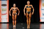 IMG_0206 - open fig short & tall.jpg