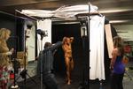 11-WFFNats-snaps0017.JPG